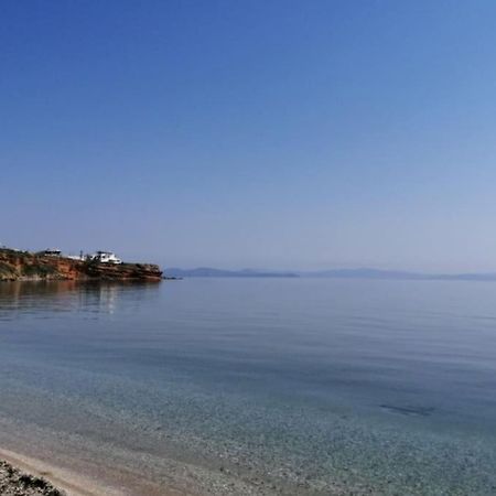 Апартаменти Summer House With A Pool Near Sea, Port & Airport Рафіна Екстер'єр фото
